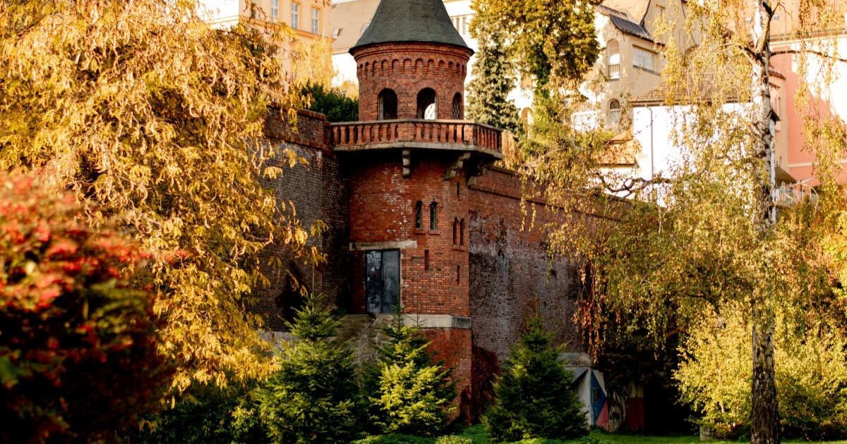 zdroj: Olomoucký report