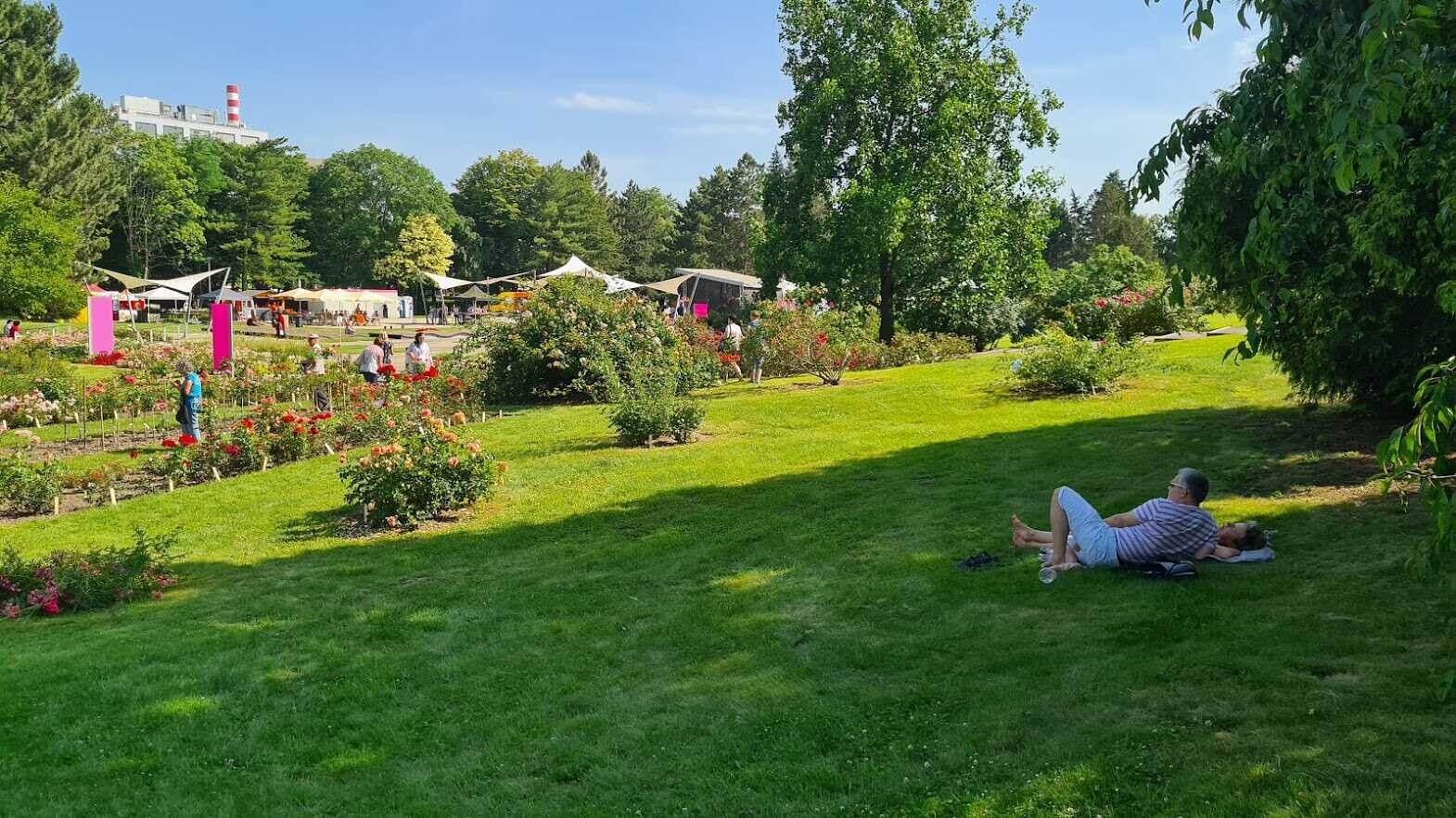 Foto: Výstaviště Flora Olomouc