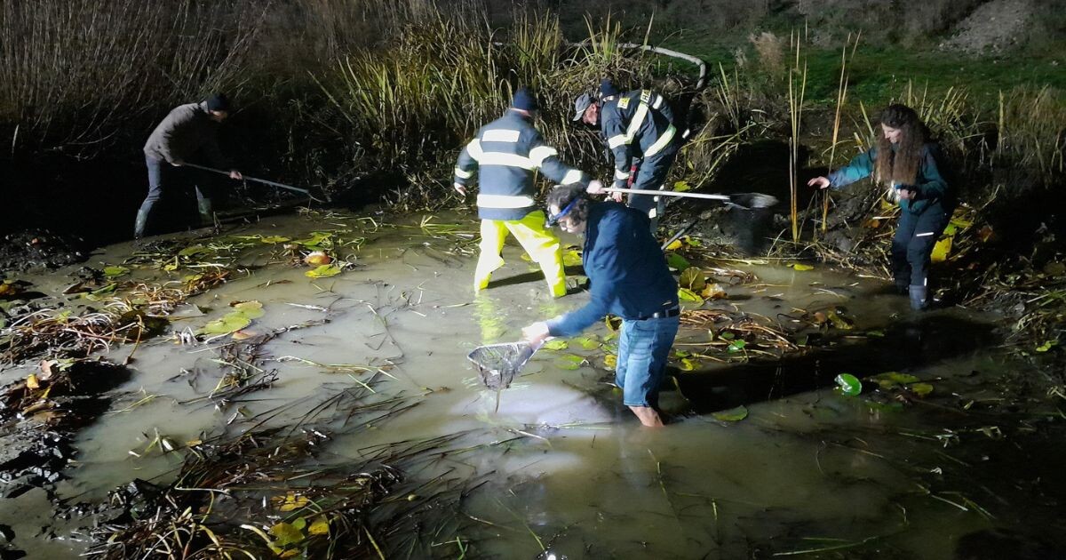 CHKO Litovelské Pomoraví