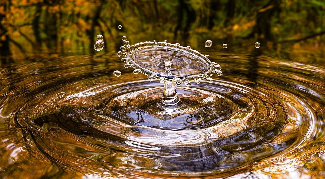 ilustrační foto Pixabay.com 