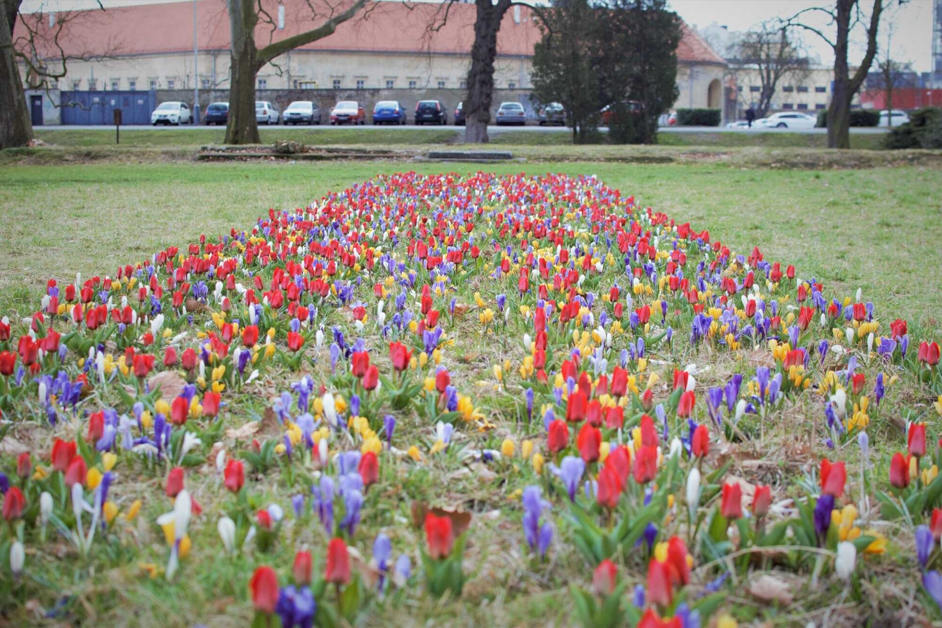Foto: Redakce Olomouckého Reportu