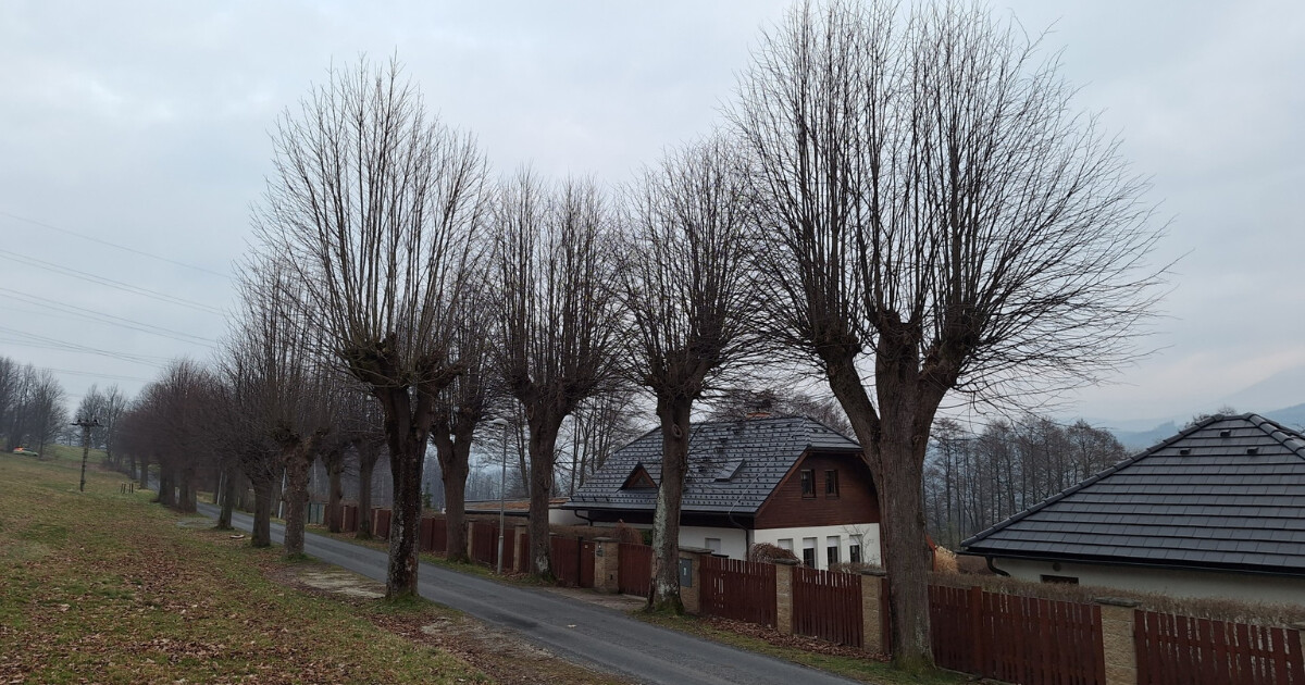 zdroj: město Jeseník