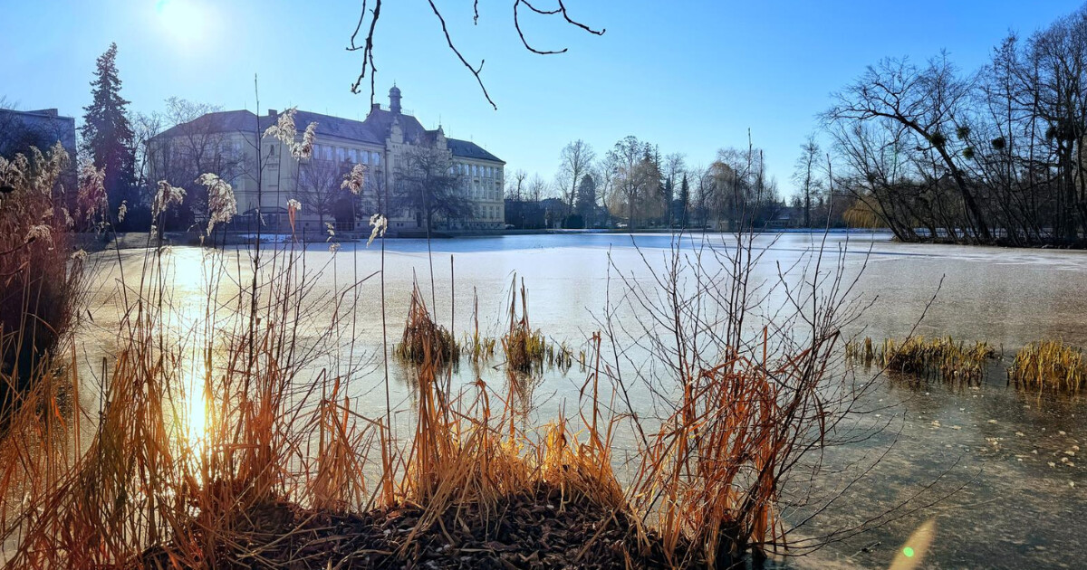zdroj: město Litovel