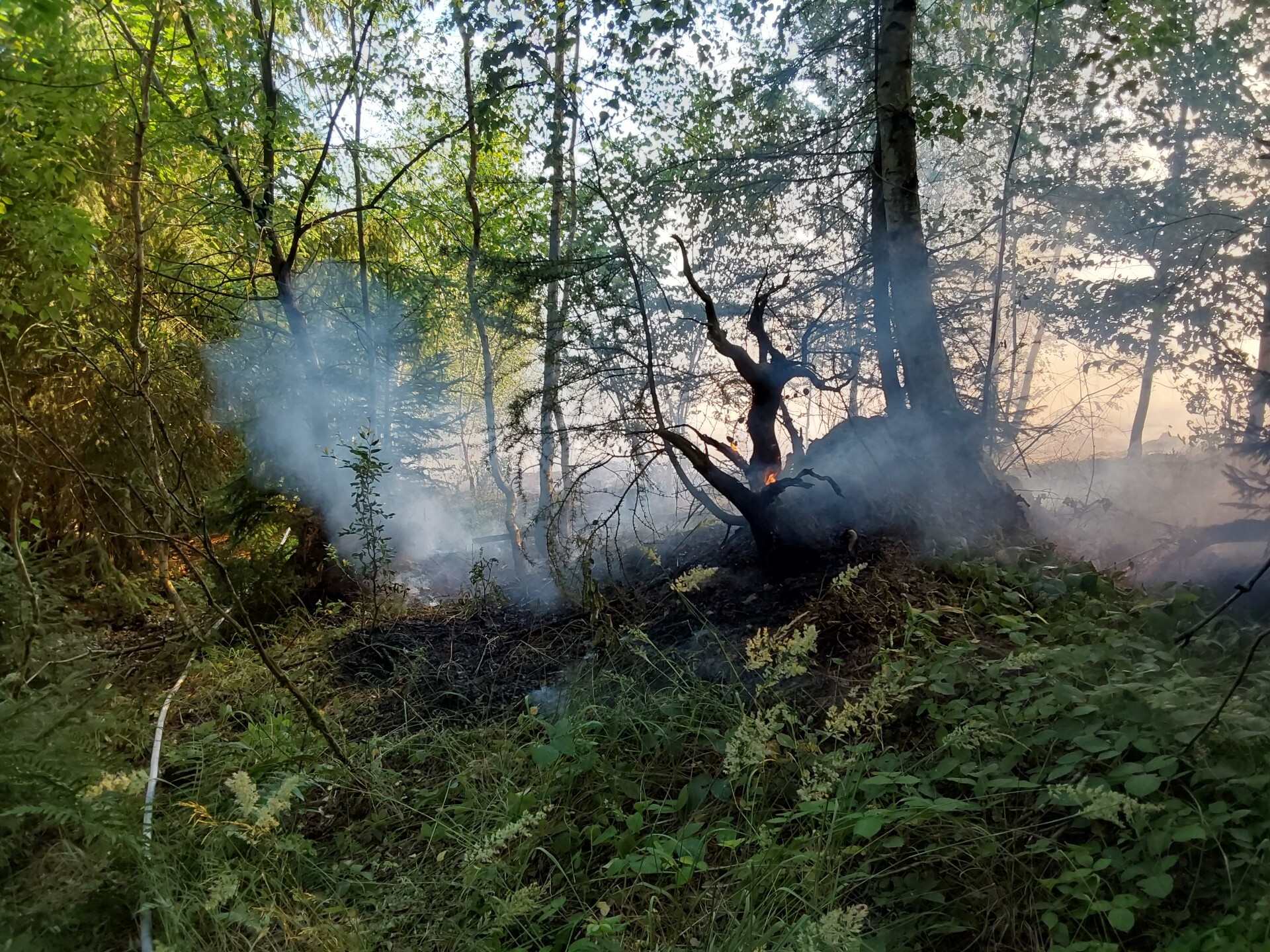 Zdroj: HZS Olomouckého kraje