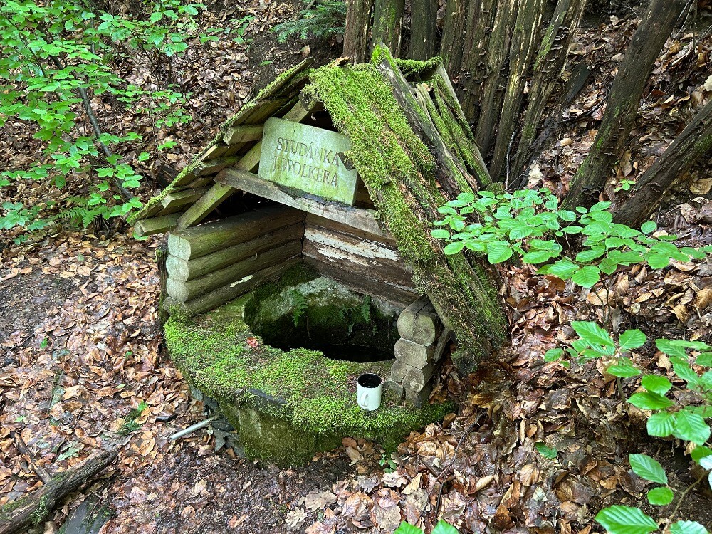 Studánka Wolkerka, zdroj: Olga Němcová, členka komise městké část Svatý Kopeček a spoluautorka akce.