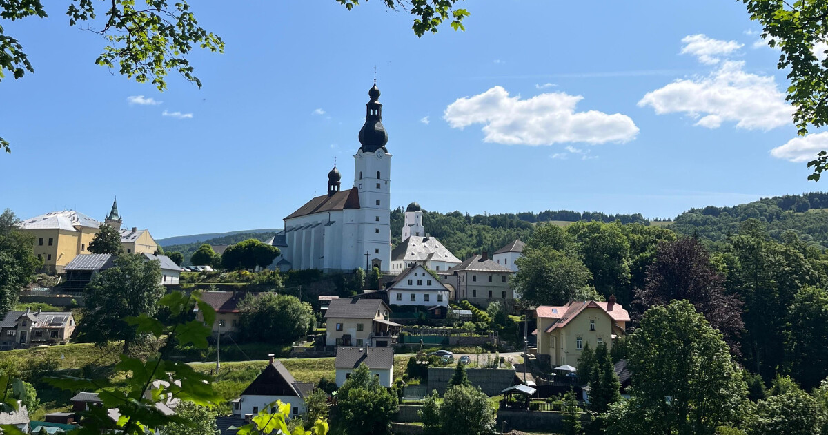 zdroj: Report
