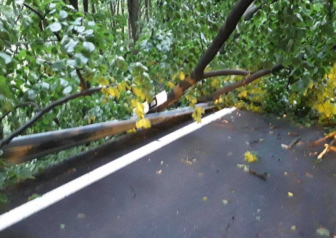 Popadané větve na železniční trati. | zdroj: HZS Olomouckého kraje