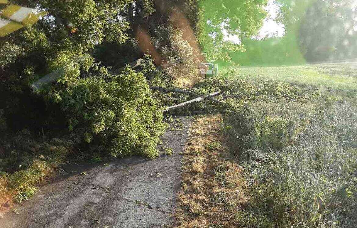 Popadané větve na železniční trati. | zdroj: HZS Olomouckého kraje