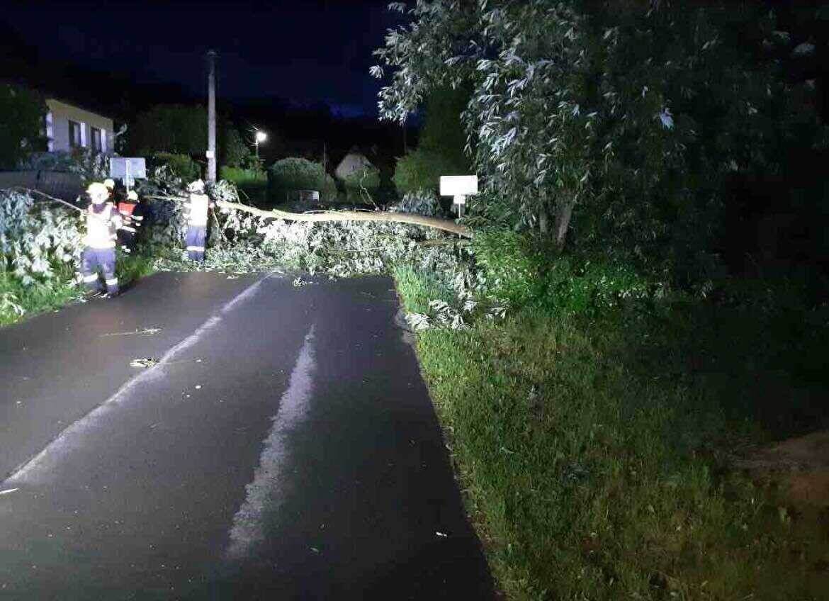 Popadané větve na železniční trati. | zdroj: HZS Olomouckého kraje