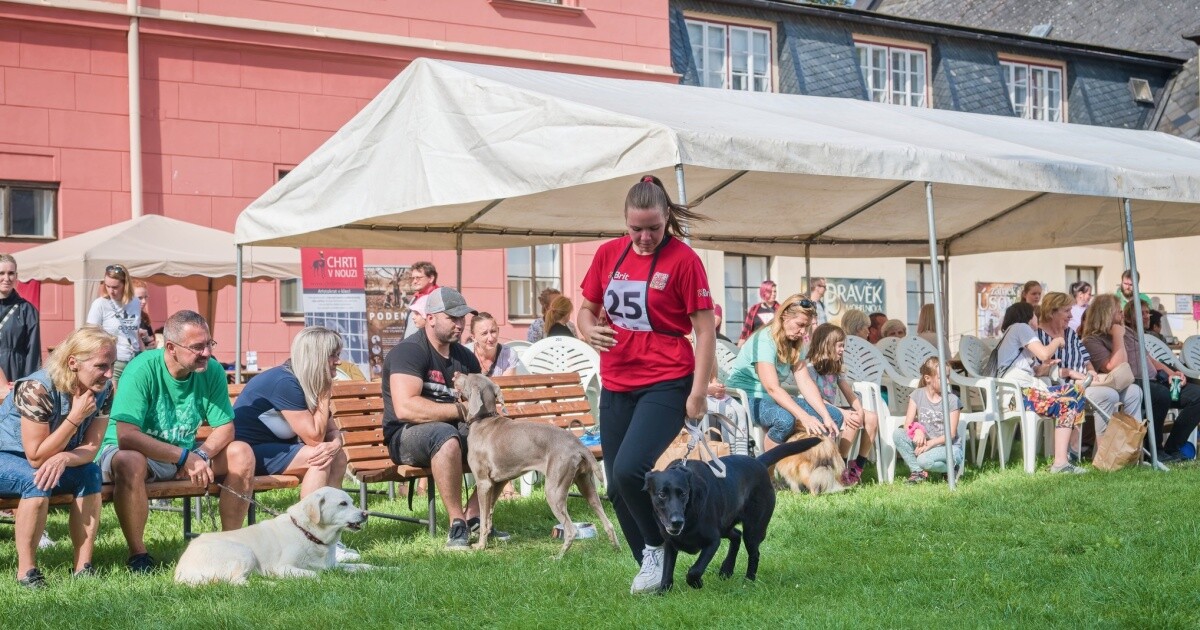 zdroj: Šumperský hafan