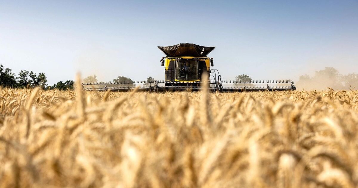 Zdroj: New Holland