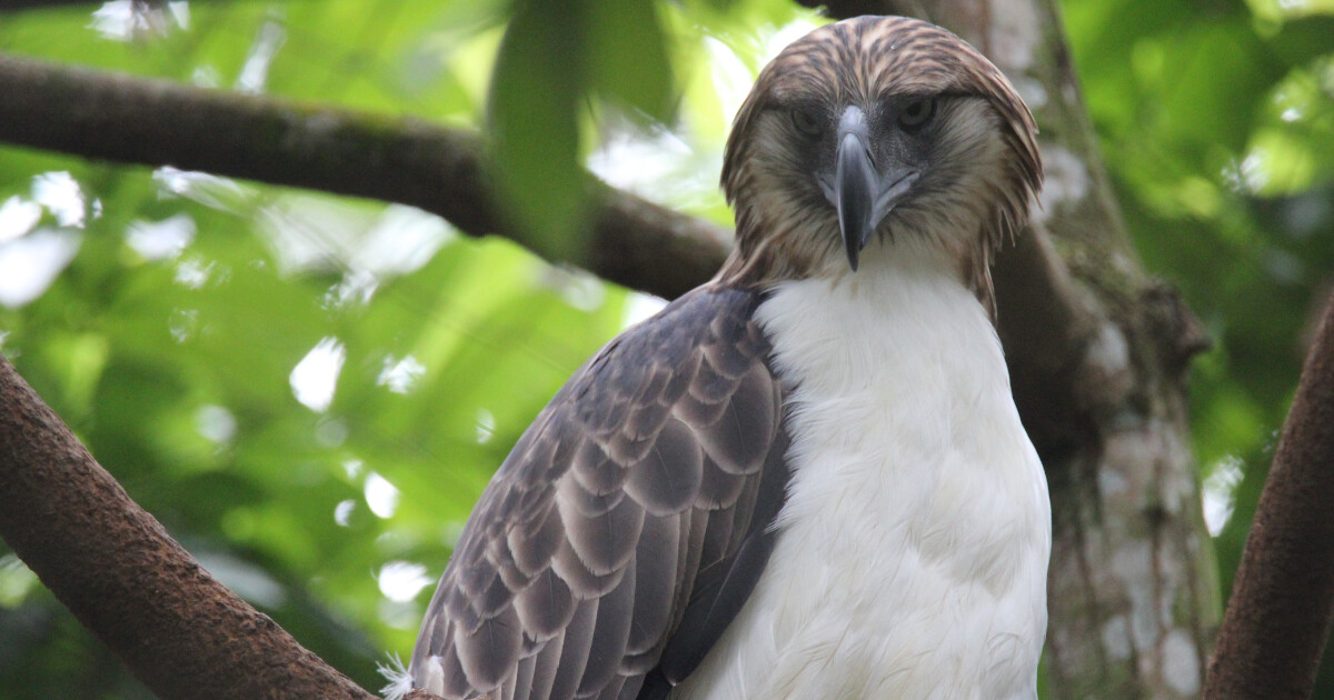zdroj: Zoo Olomouc