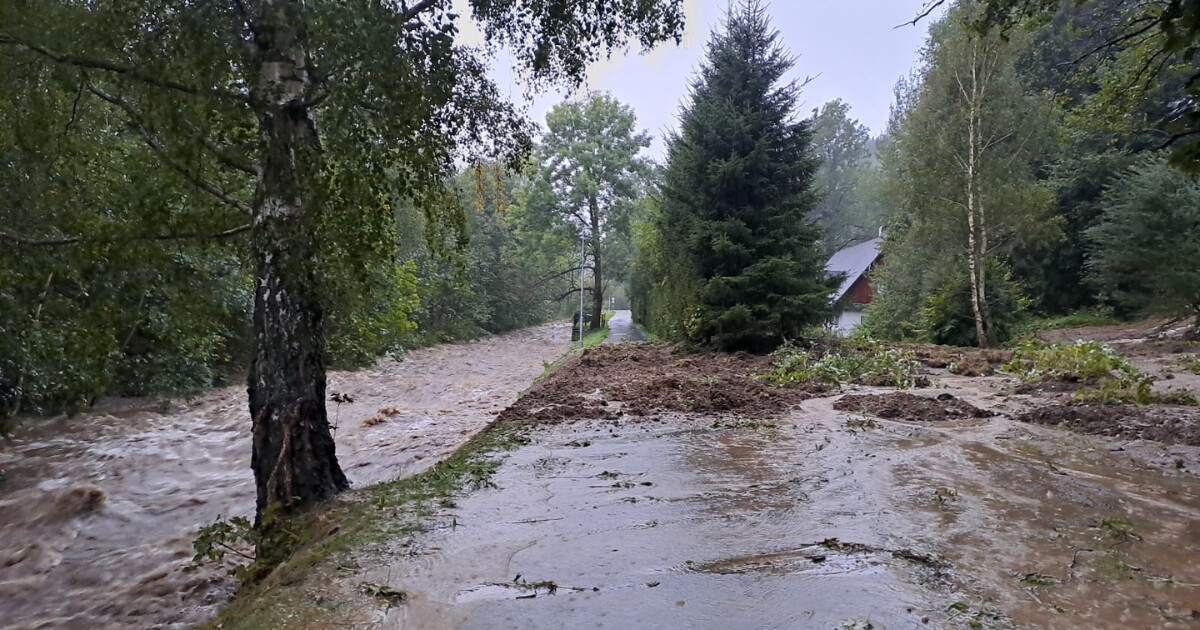 zdroj: PČR