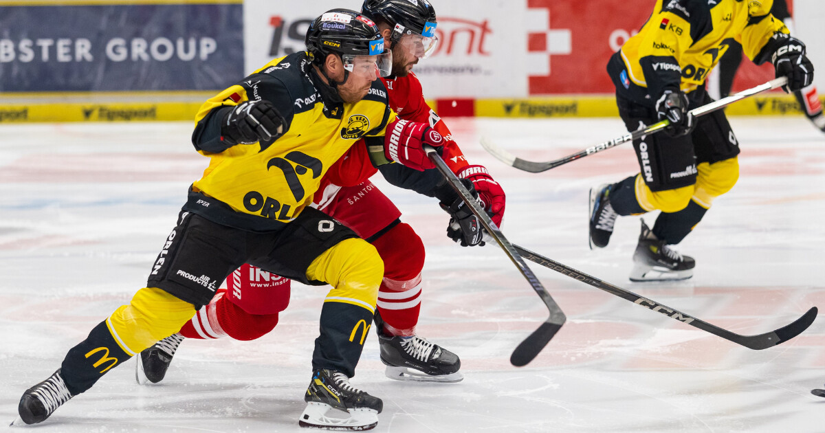 zdroj: HC Olomouc