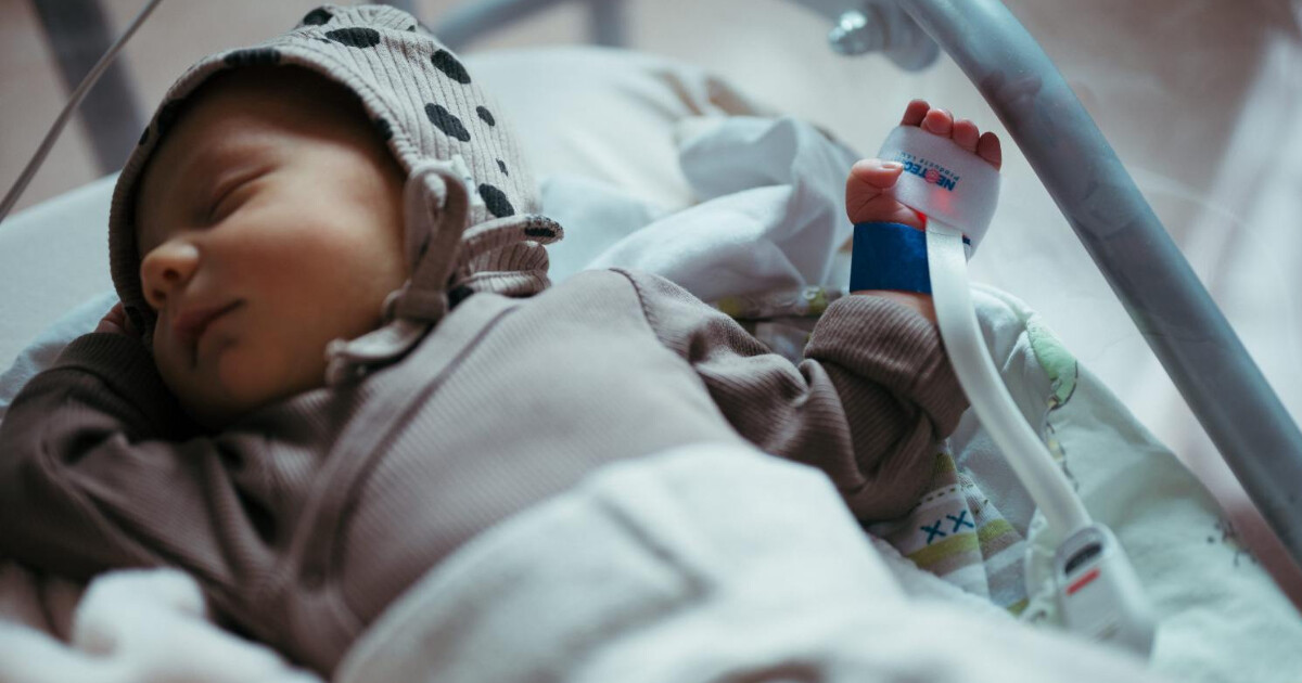 foto: Lukáš Navara / FNOL