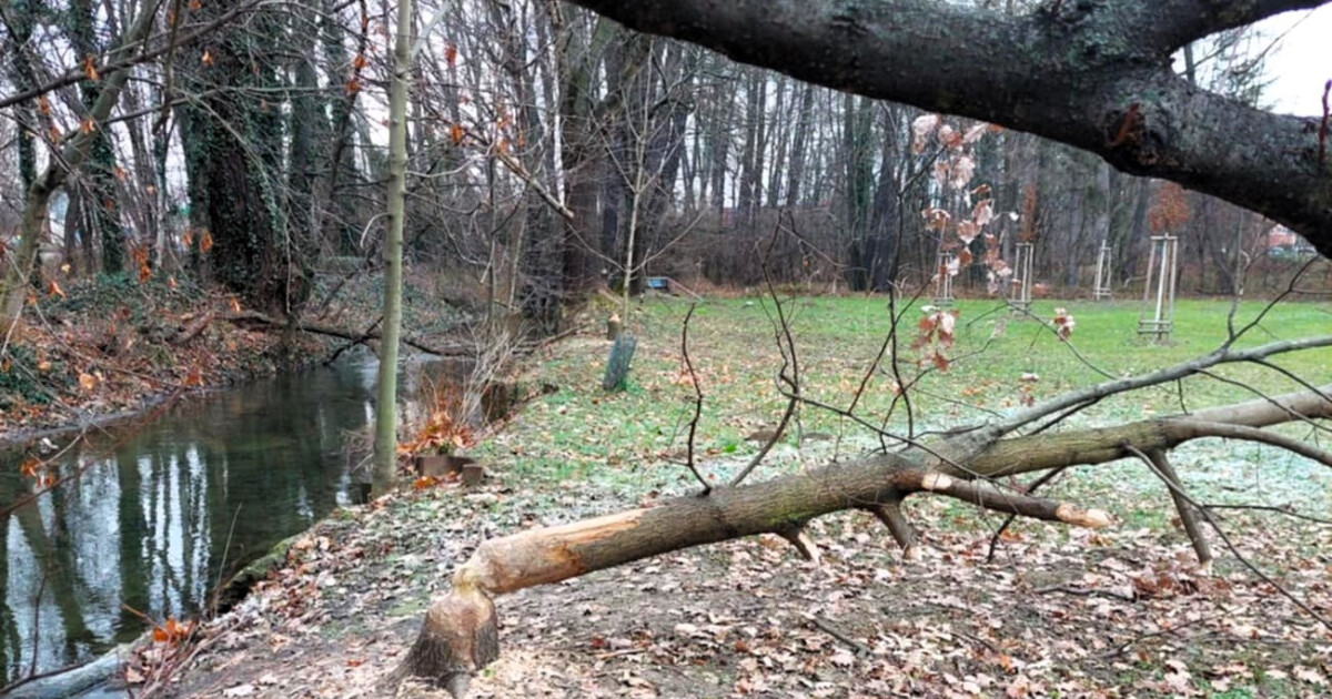 zdroj: město Přerov
