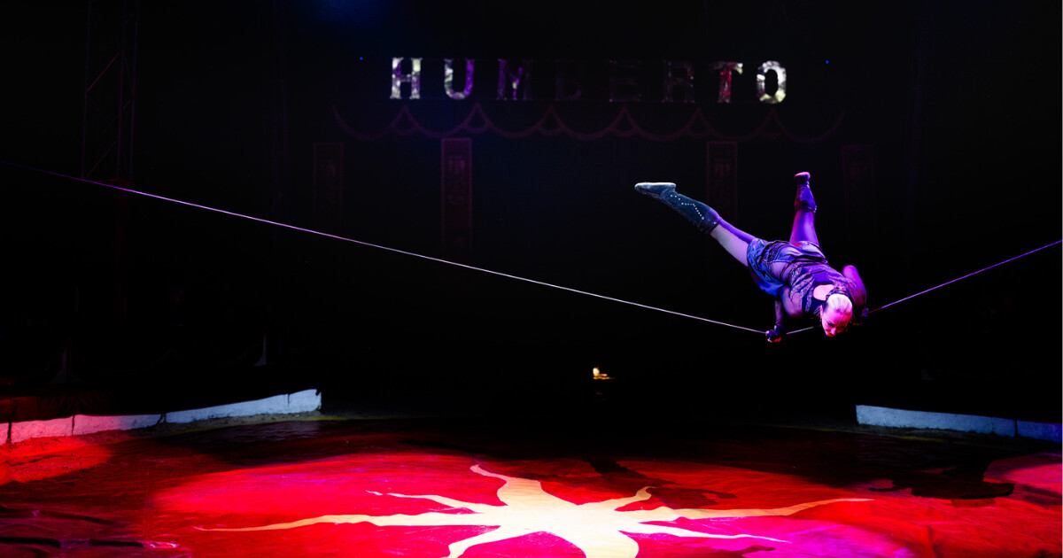 zdroj: Cirkus Humberto