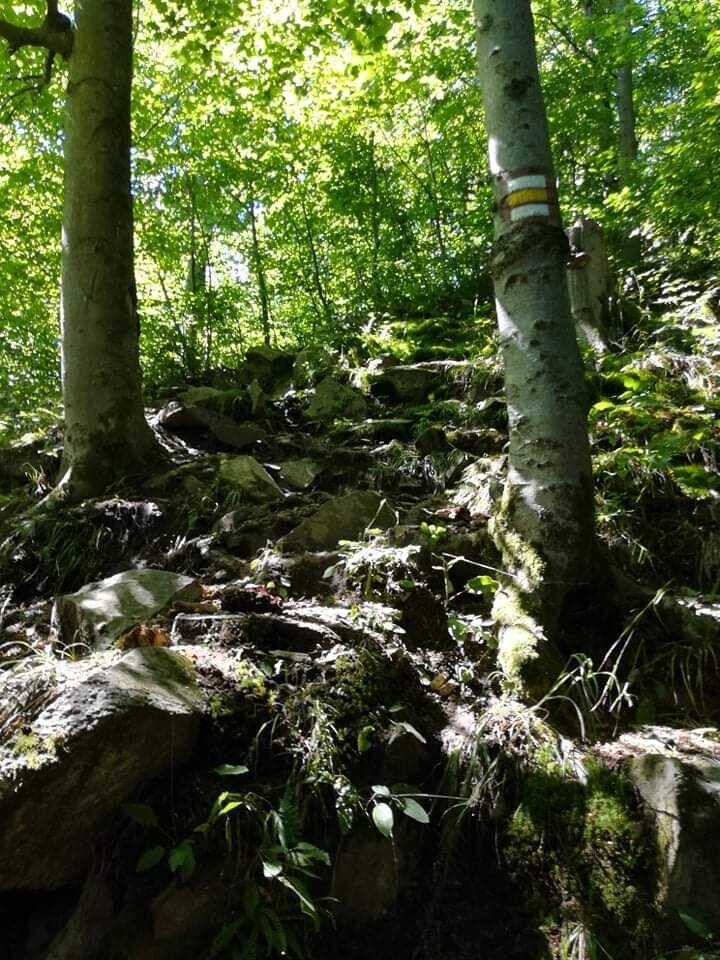 Foto: HZS Olomouckého kraje