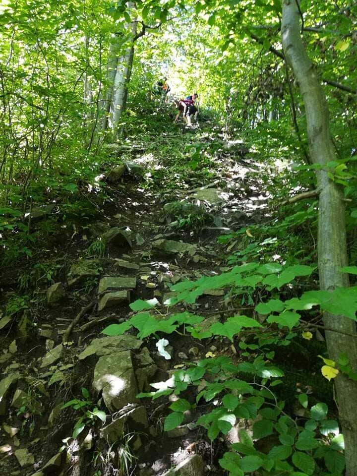 Foto: HZS Olomouckého kraje