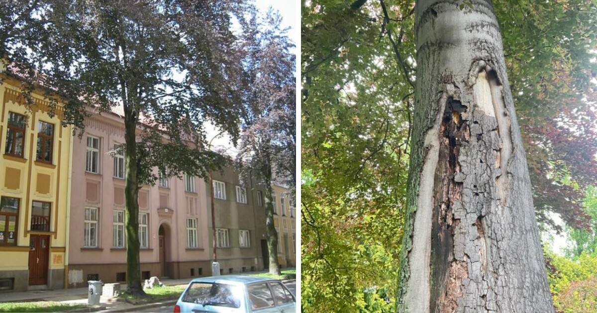 zdroj: město Prostějov