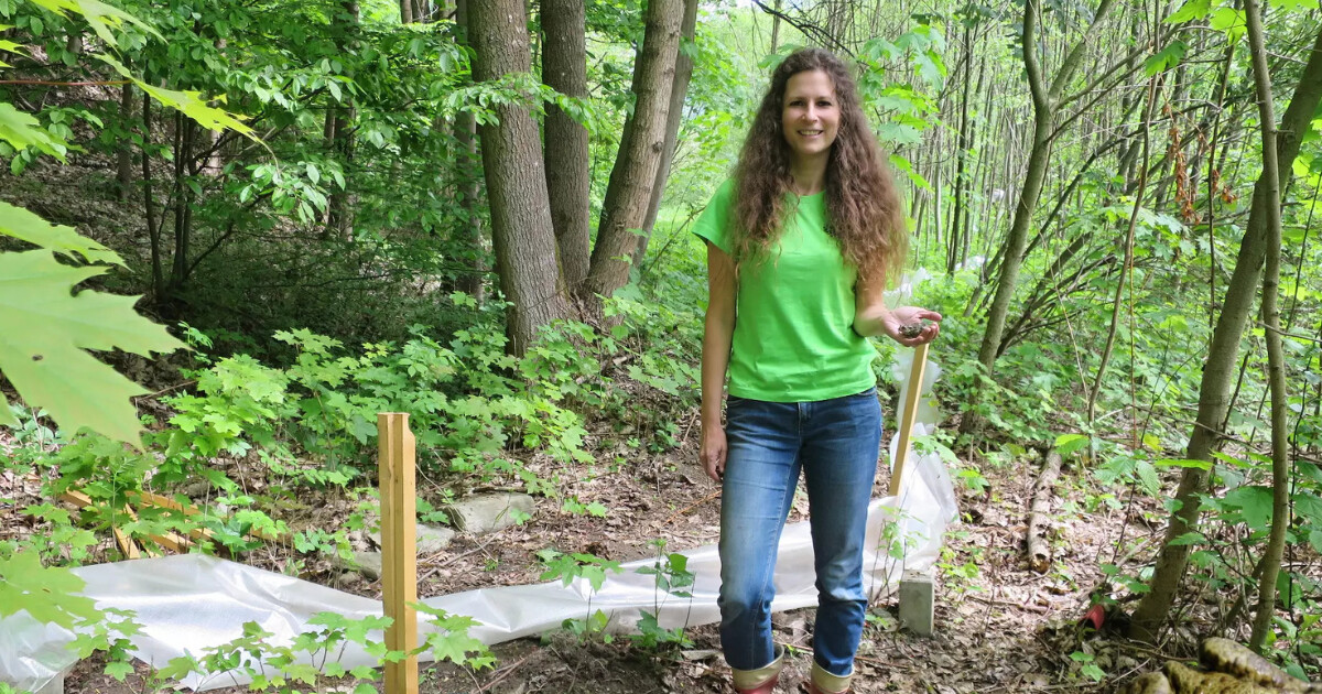 zdroj: Ceny Olomouckého kraje