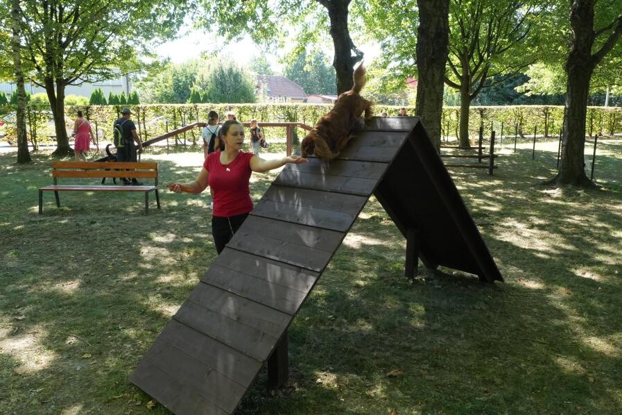 zdroj: město Litovel