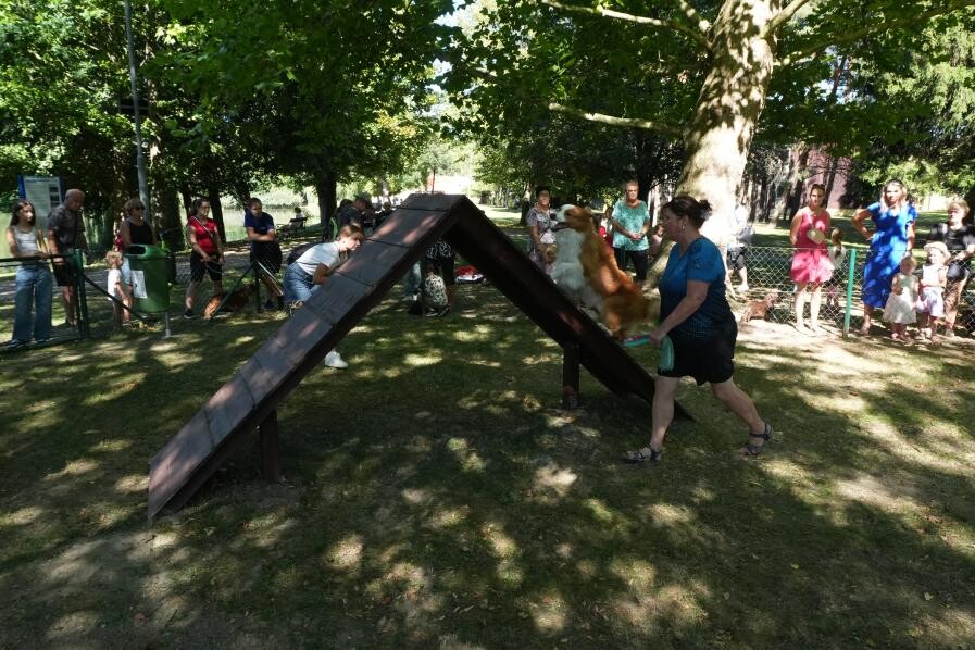 zdroj: město Litovel