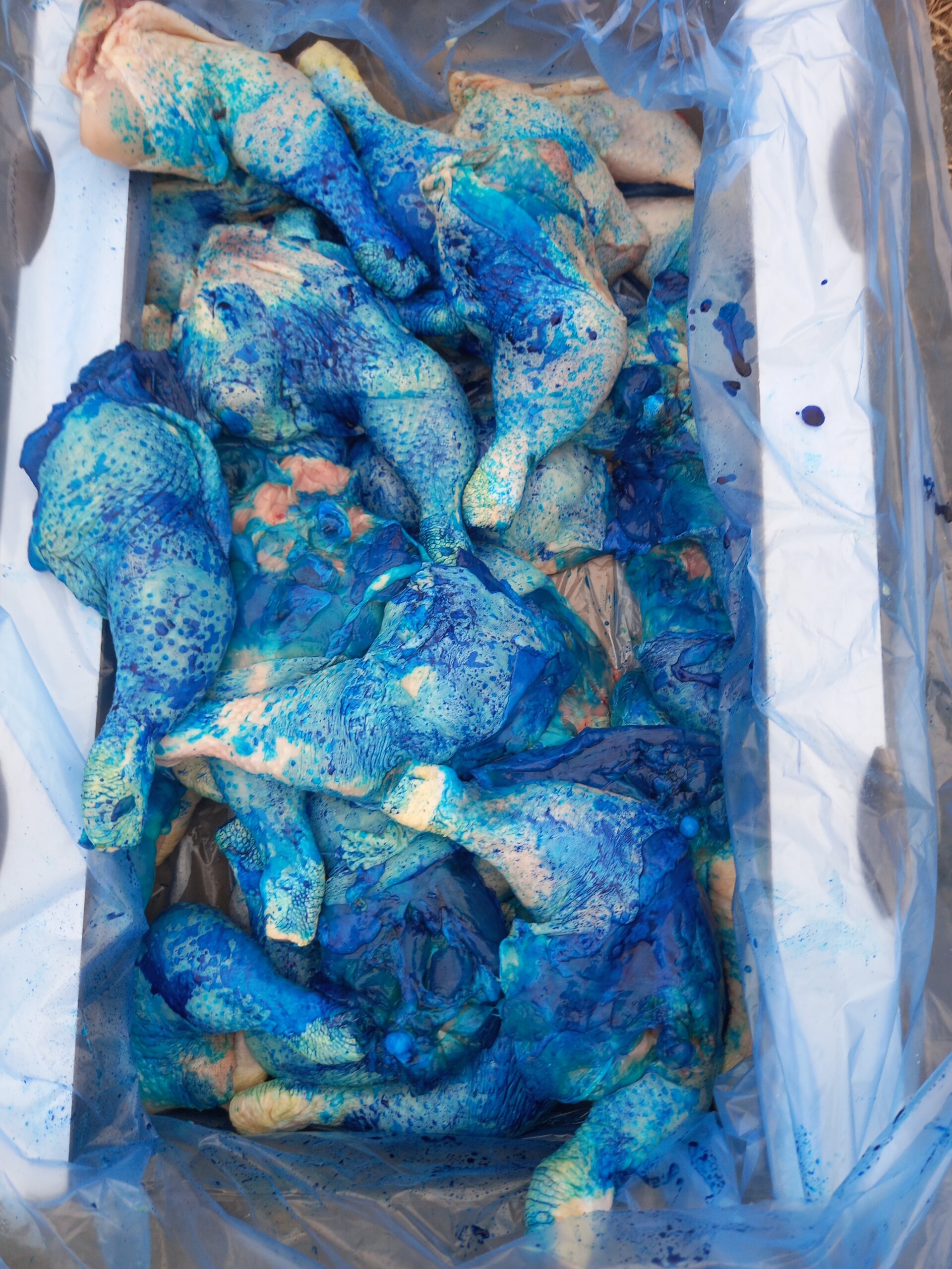 Zdroj: Celní správa