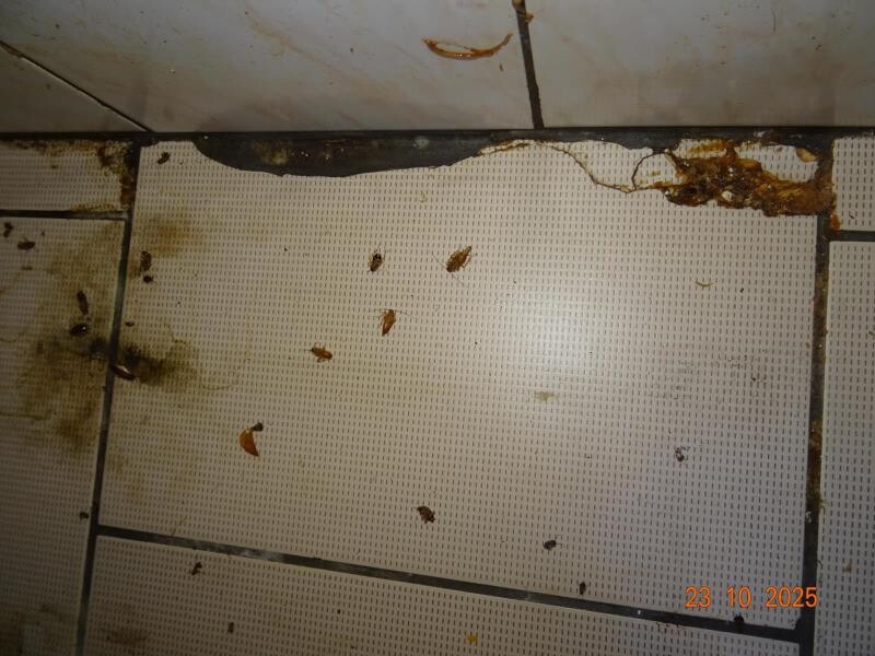 Zdroj: Potraviny na pranýři