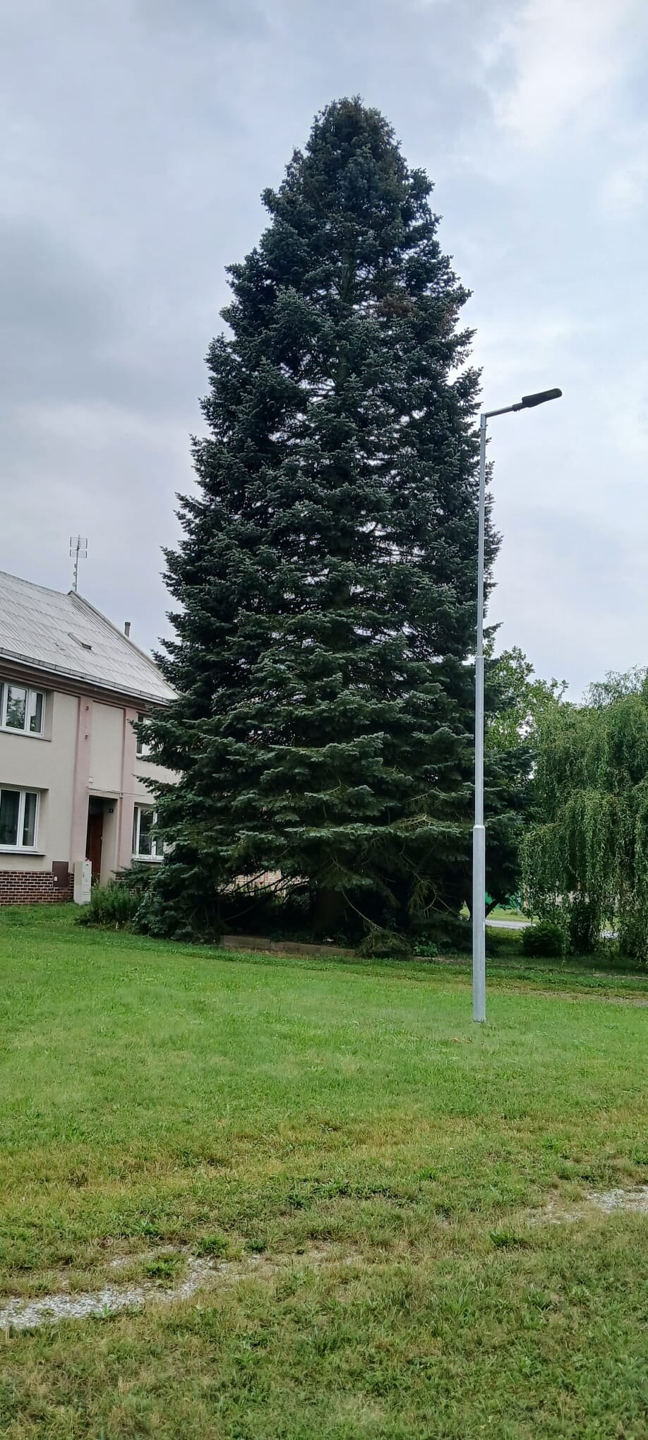 zdroj: Report, MMOL