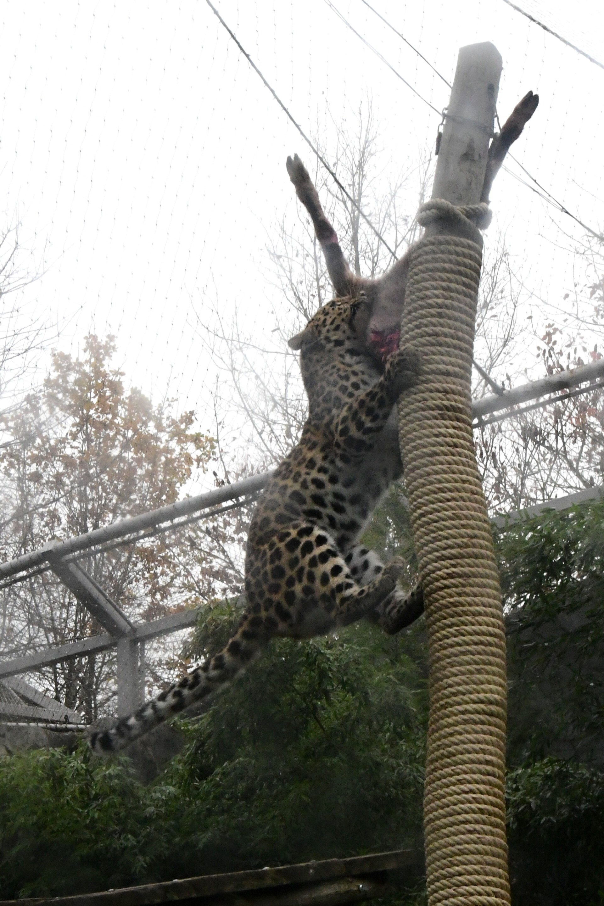 Zdroj: Zoo Olomouc