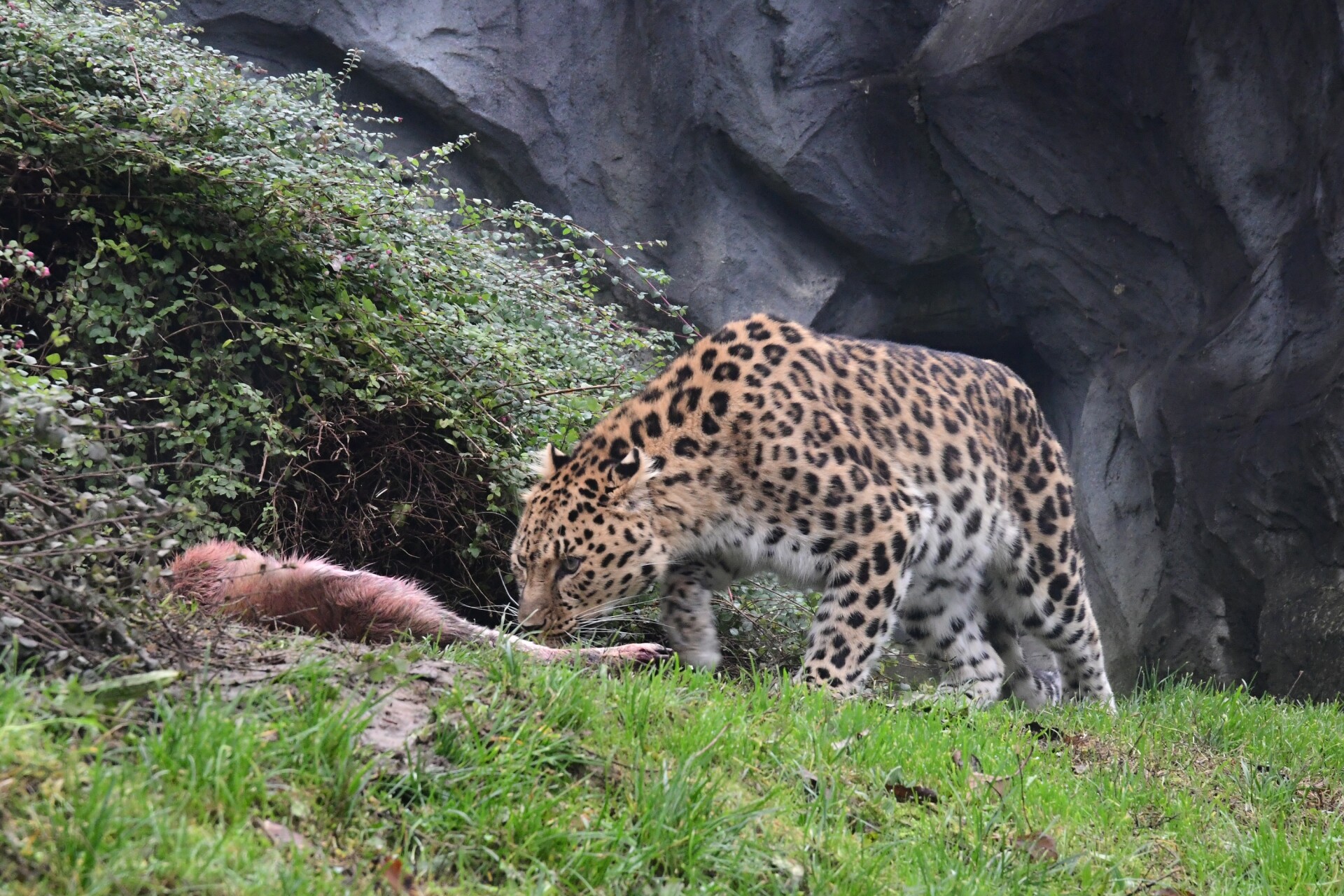 Zdroj: Zoo Olomouc