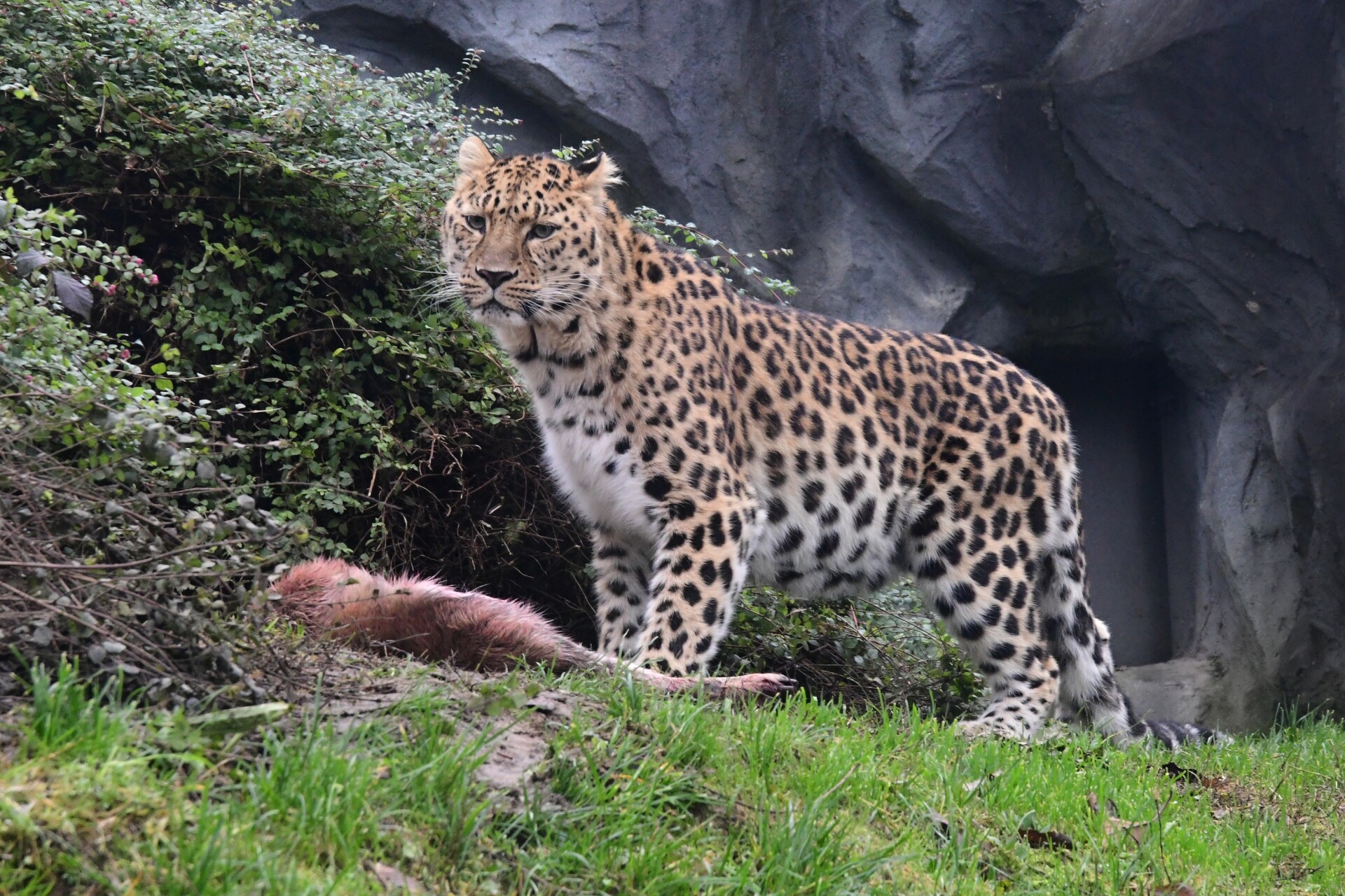 Zdroj: Zoo Olomouc
