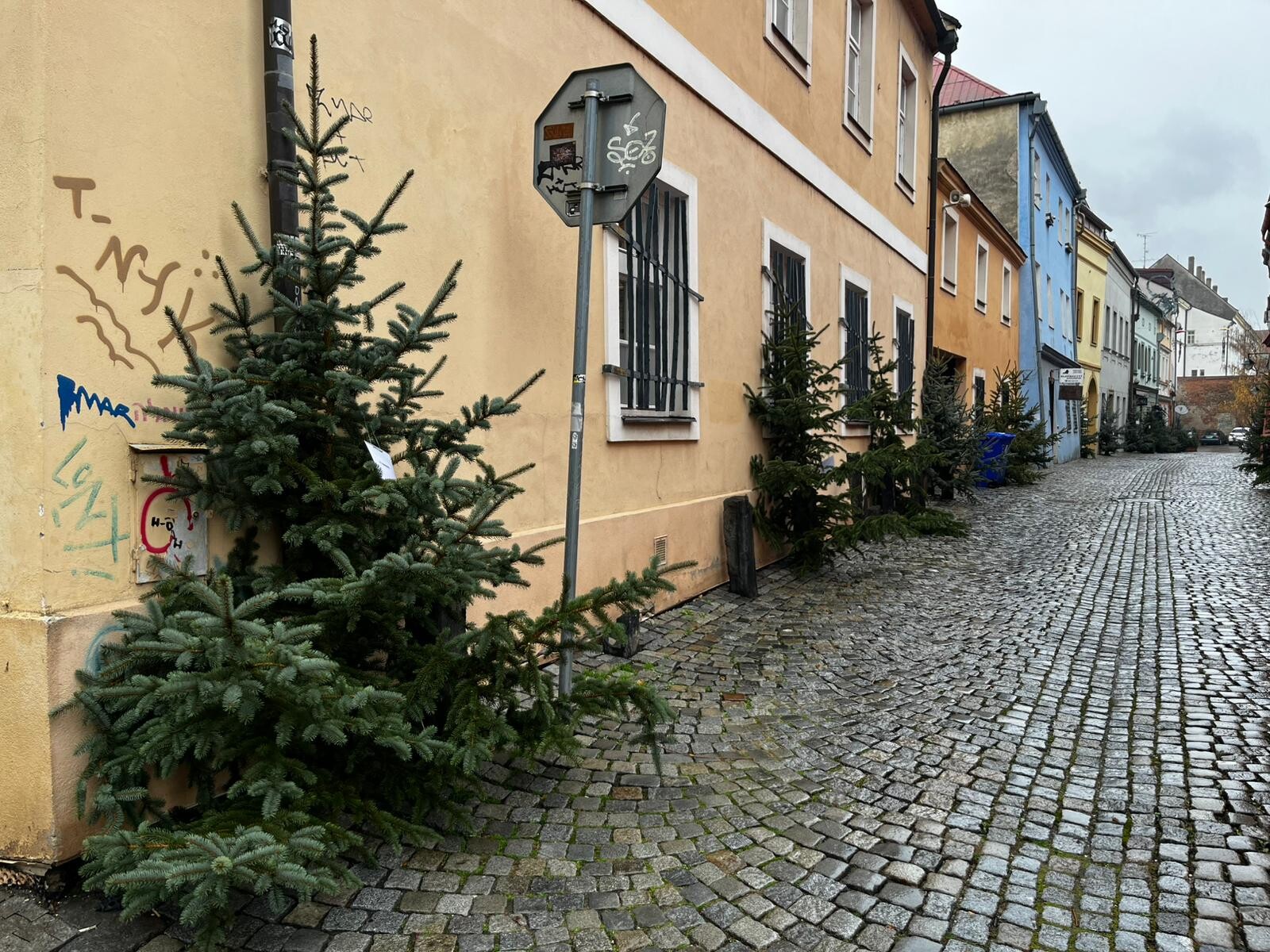 foto: Report.cz