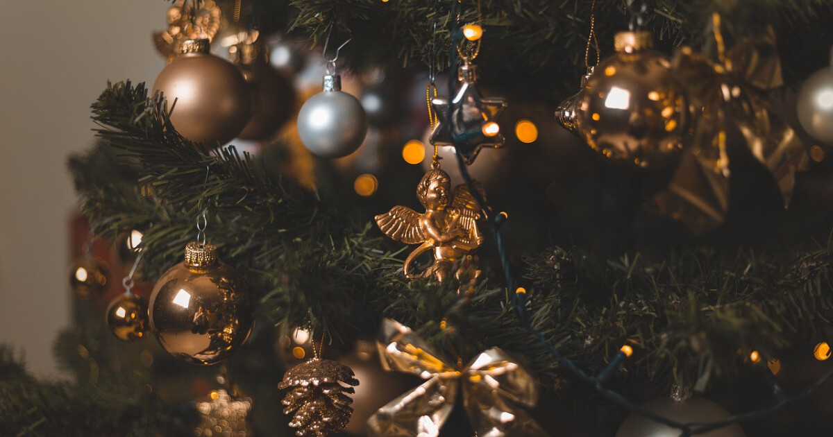 Zdroj: Pixabay