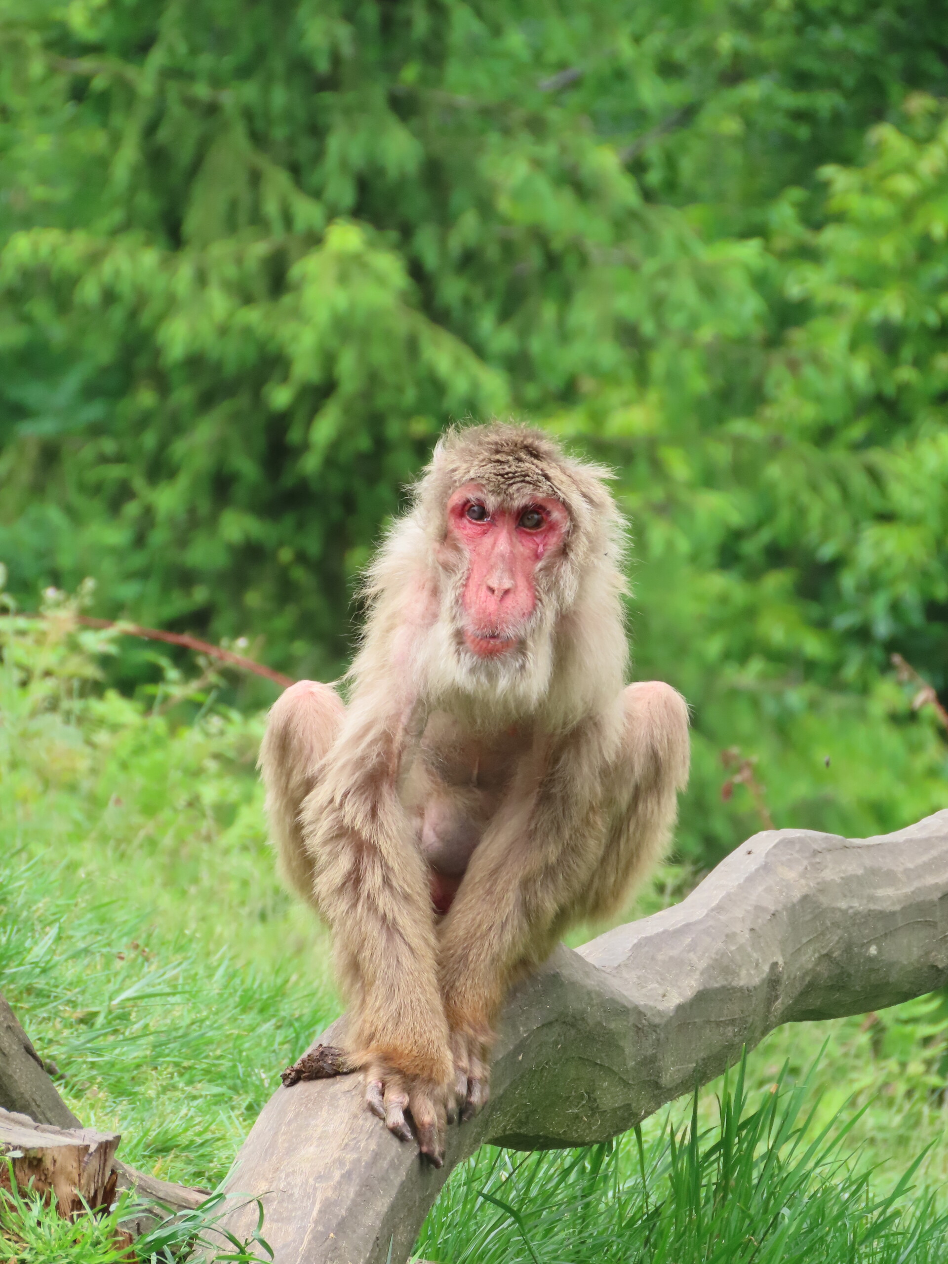 Zdroj: Zoo Olomouc