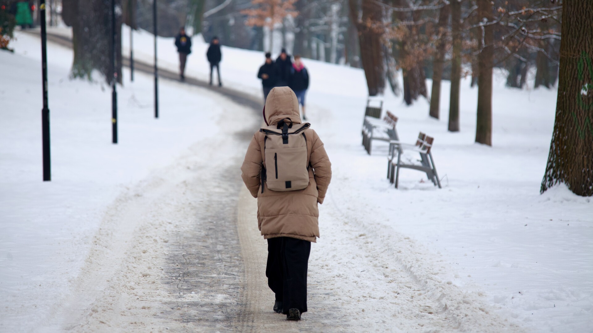 Foto: Report