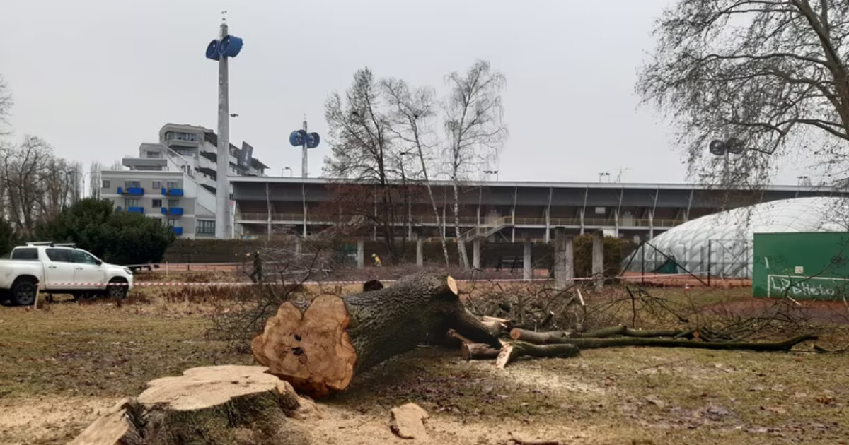 Vizualizace budoucí podoby ASO parku a současný stav, zdroj: MIloš Tichý a město Olomouc