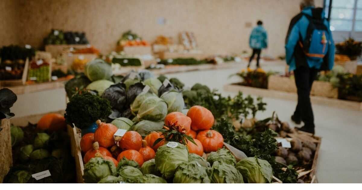 Zdroj: Flora Olomouc 