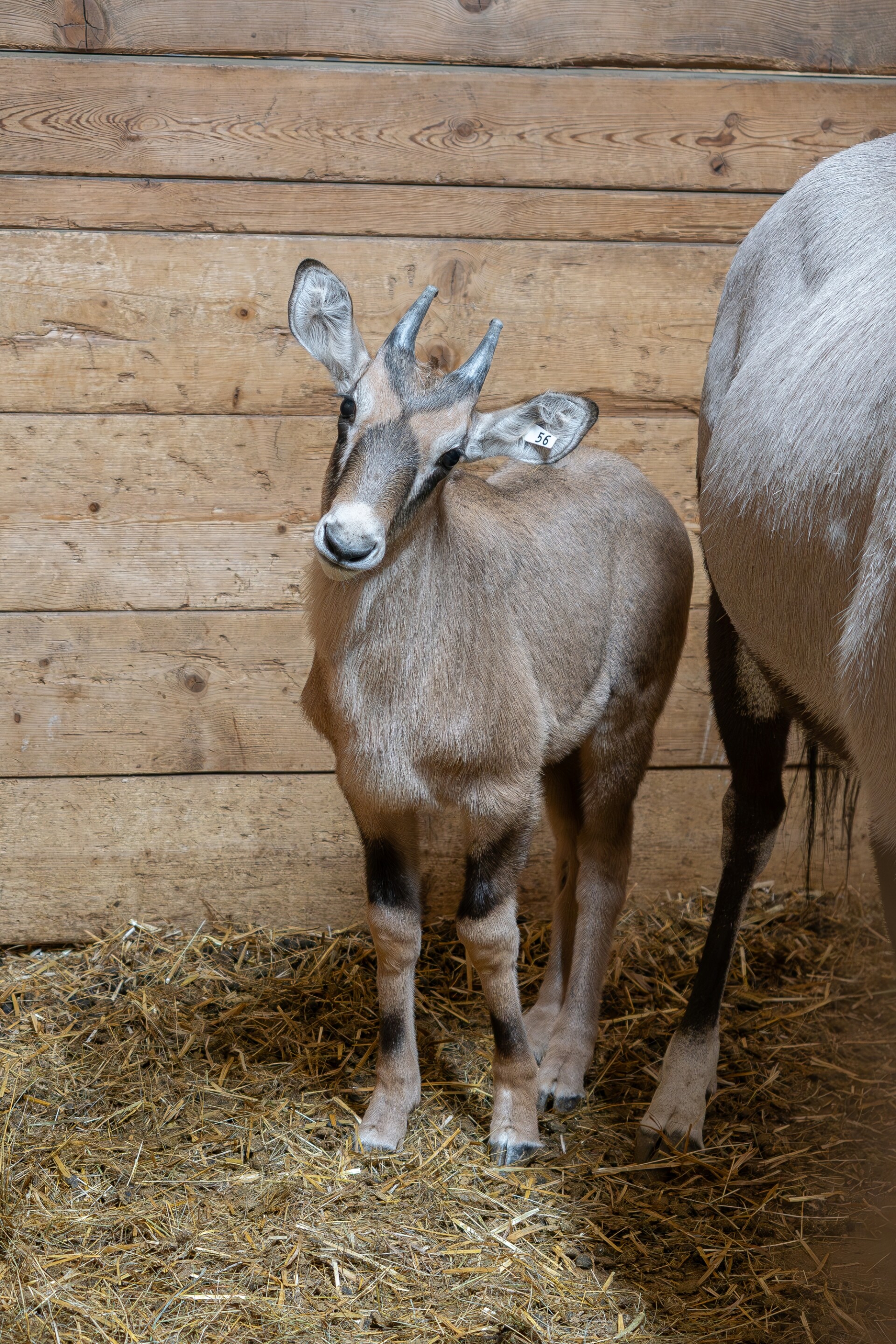 zdroj: Zoo Olomouc