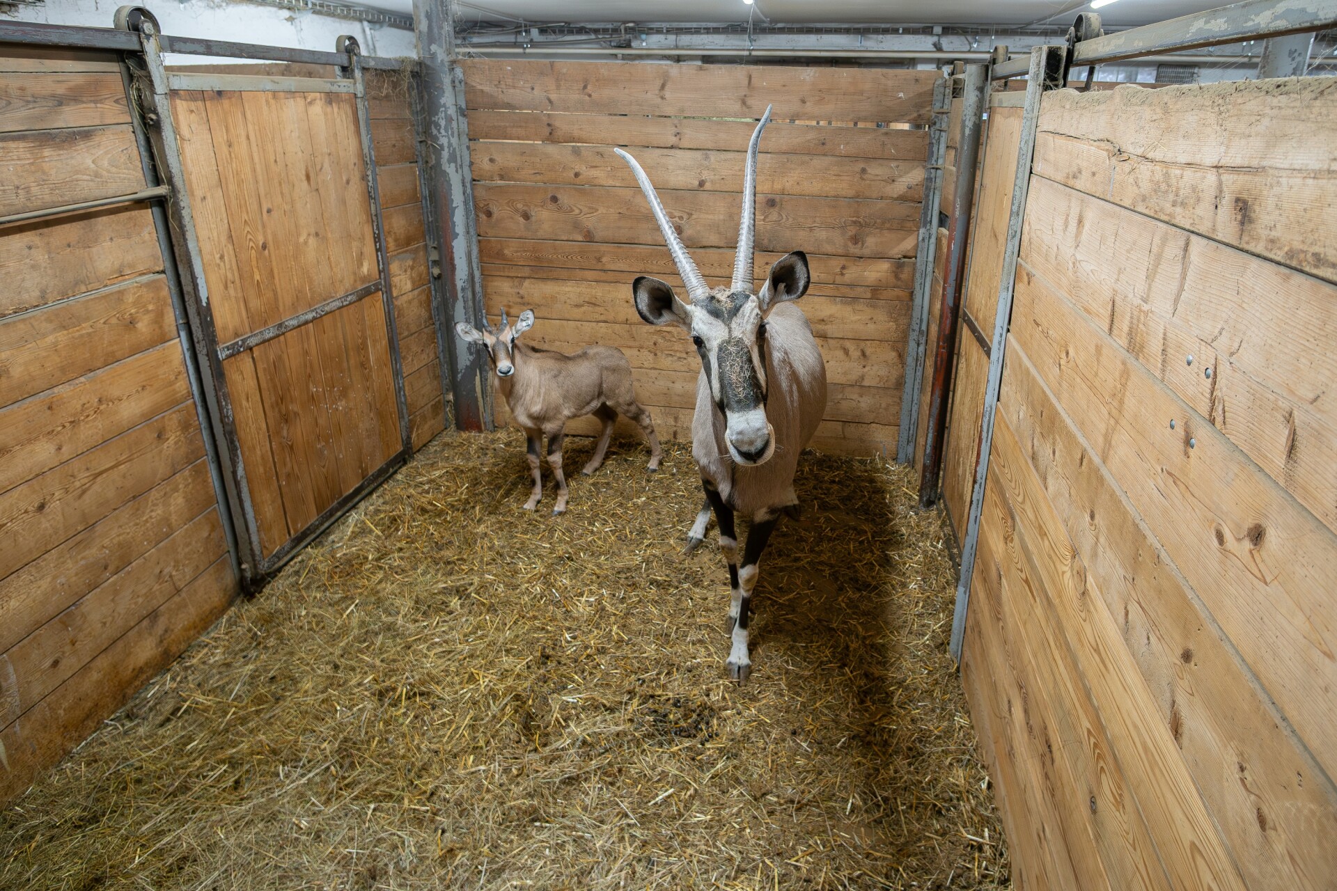 zdroj: Zoo Olomouc