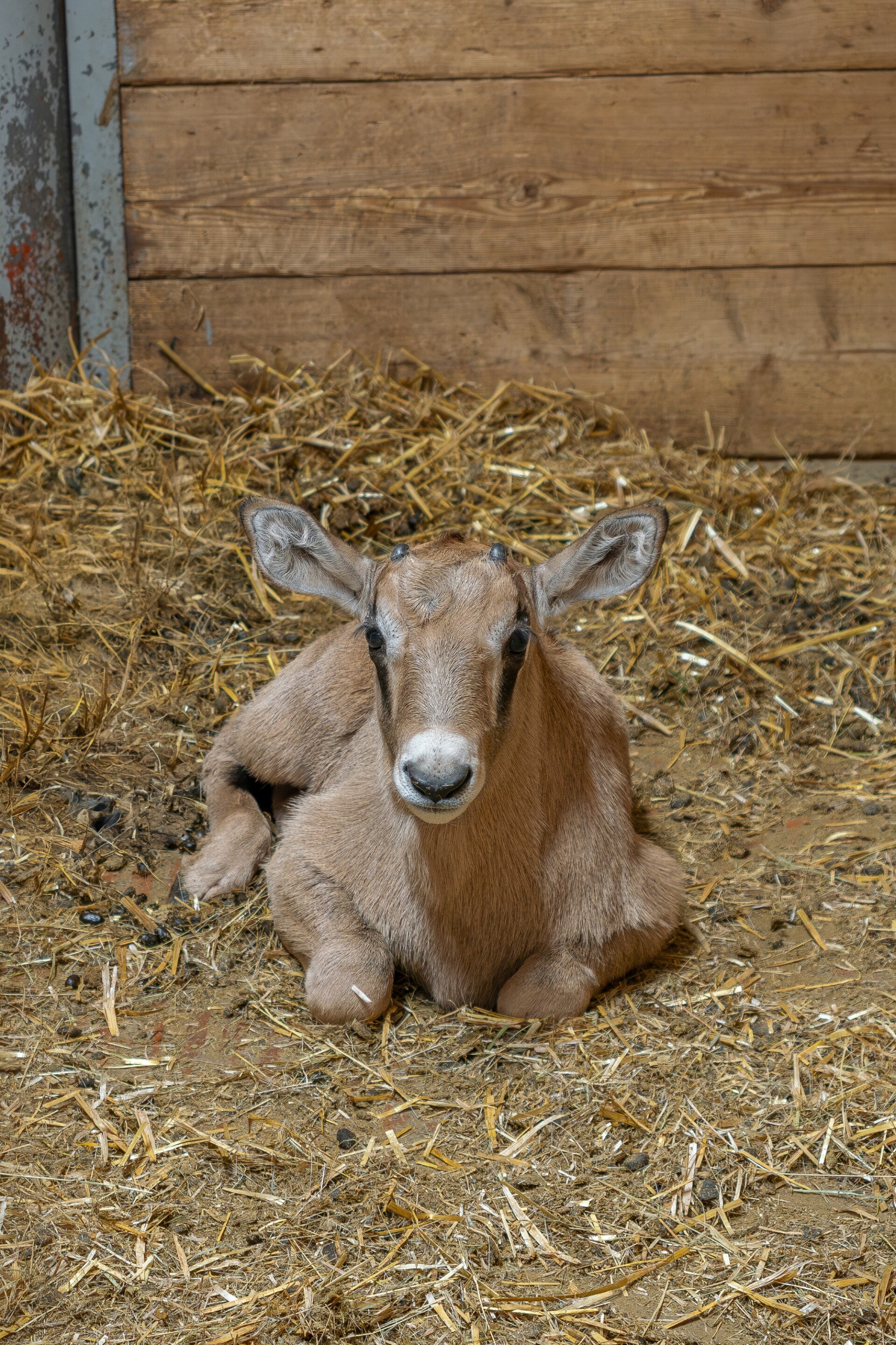 zdroj: Zoo Olomouc