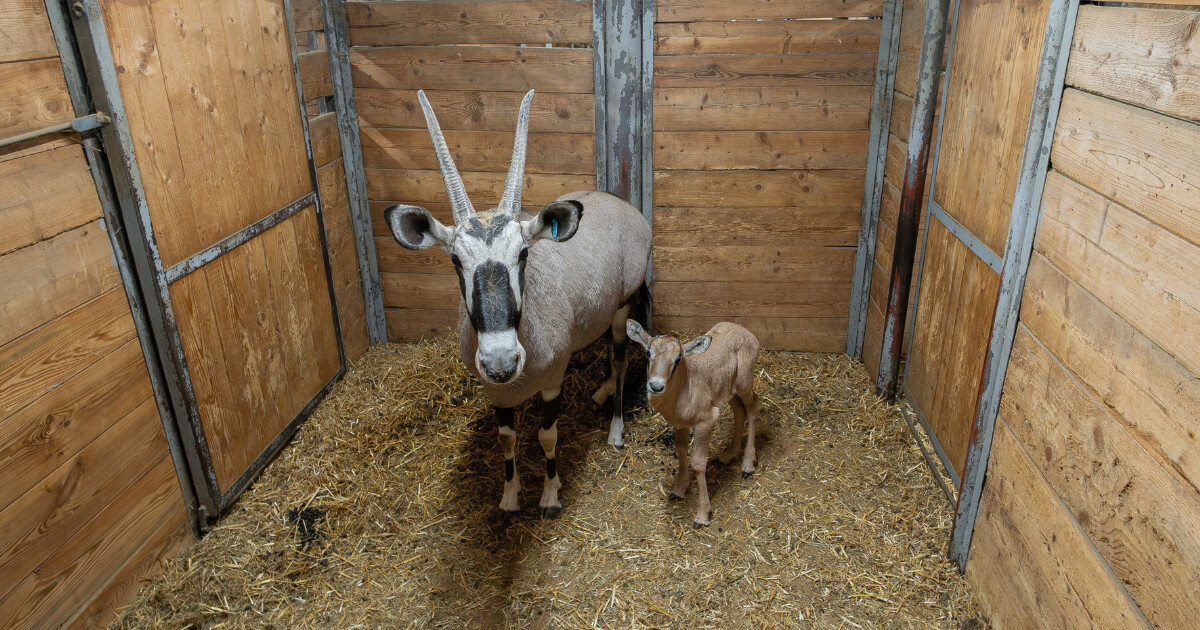 zdroj: Zoo Olomouc