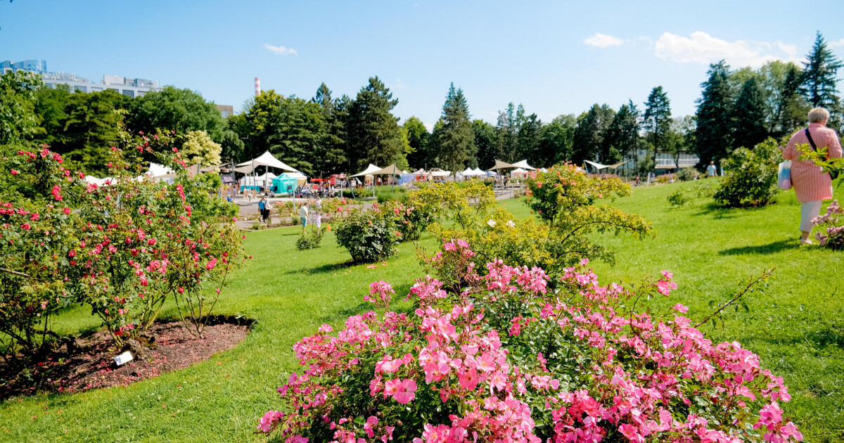 Rozárium Olomouc, zdroj: Výstaviště Flora Olomouc