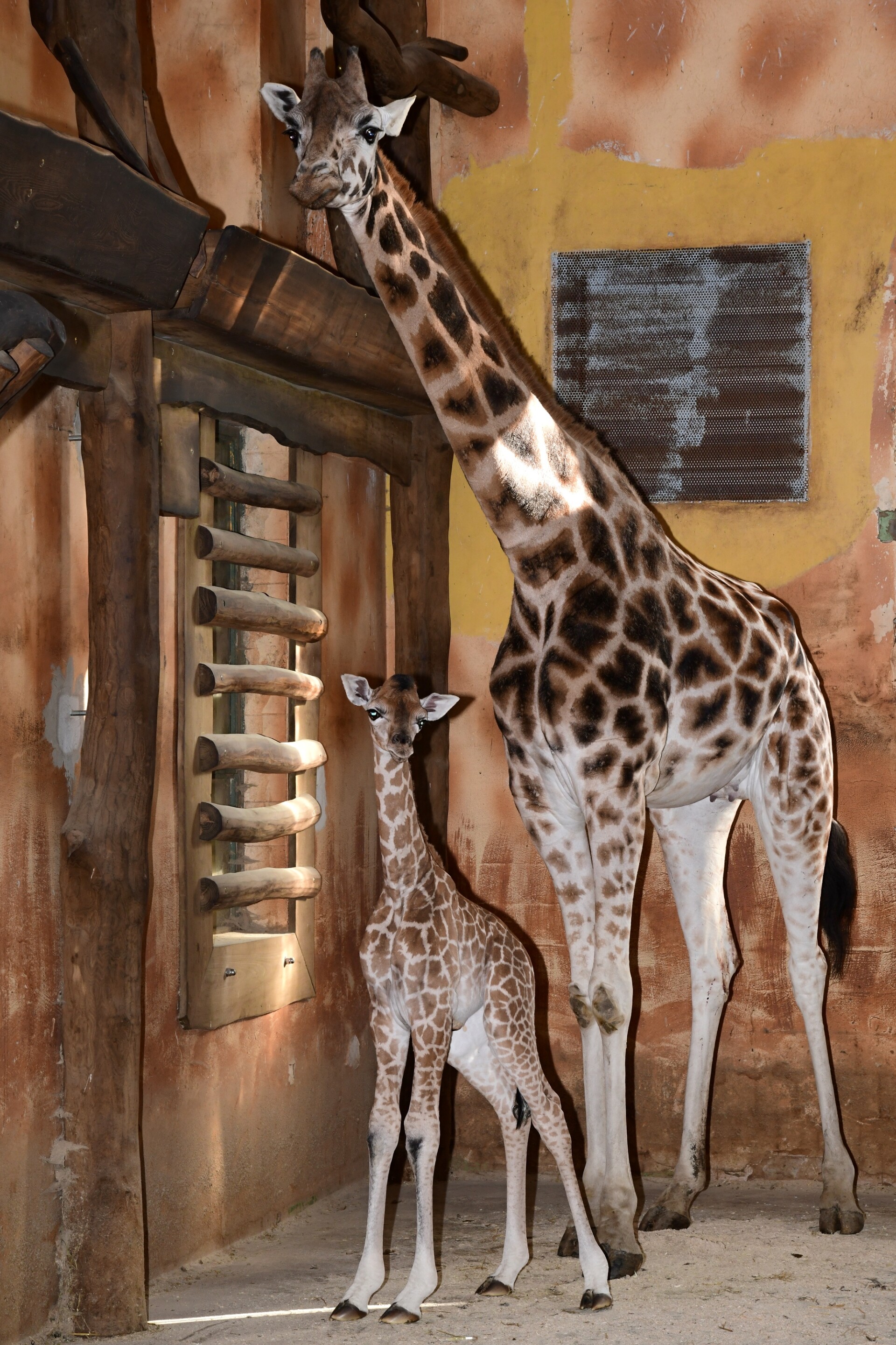 zdroj: Zoo Olomouc