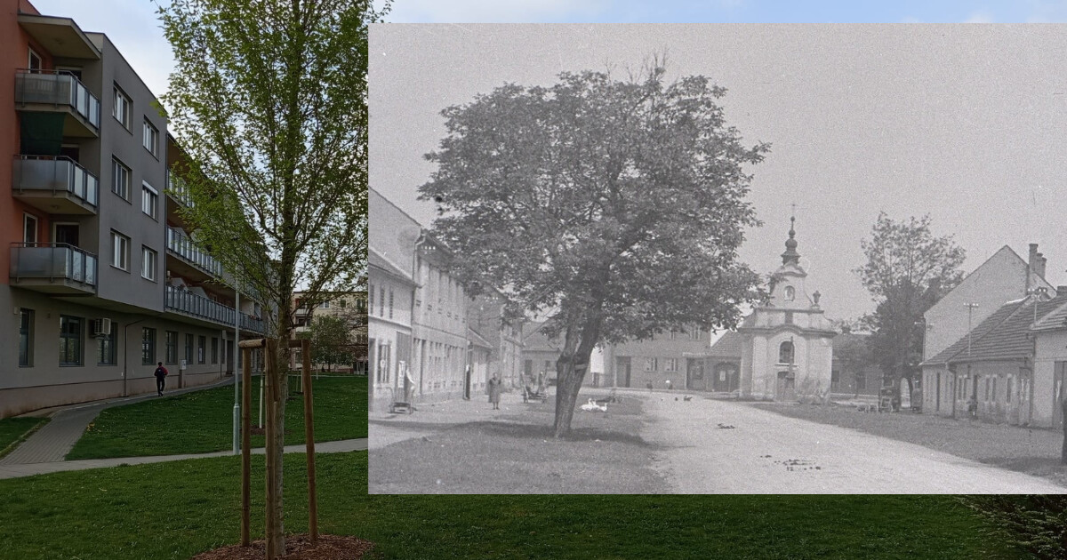 zdroj: Olomoucký Report, Zemský archiv v Opavě (Digitální badatelna)