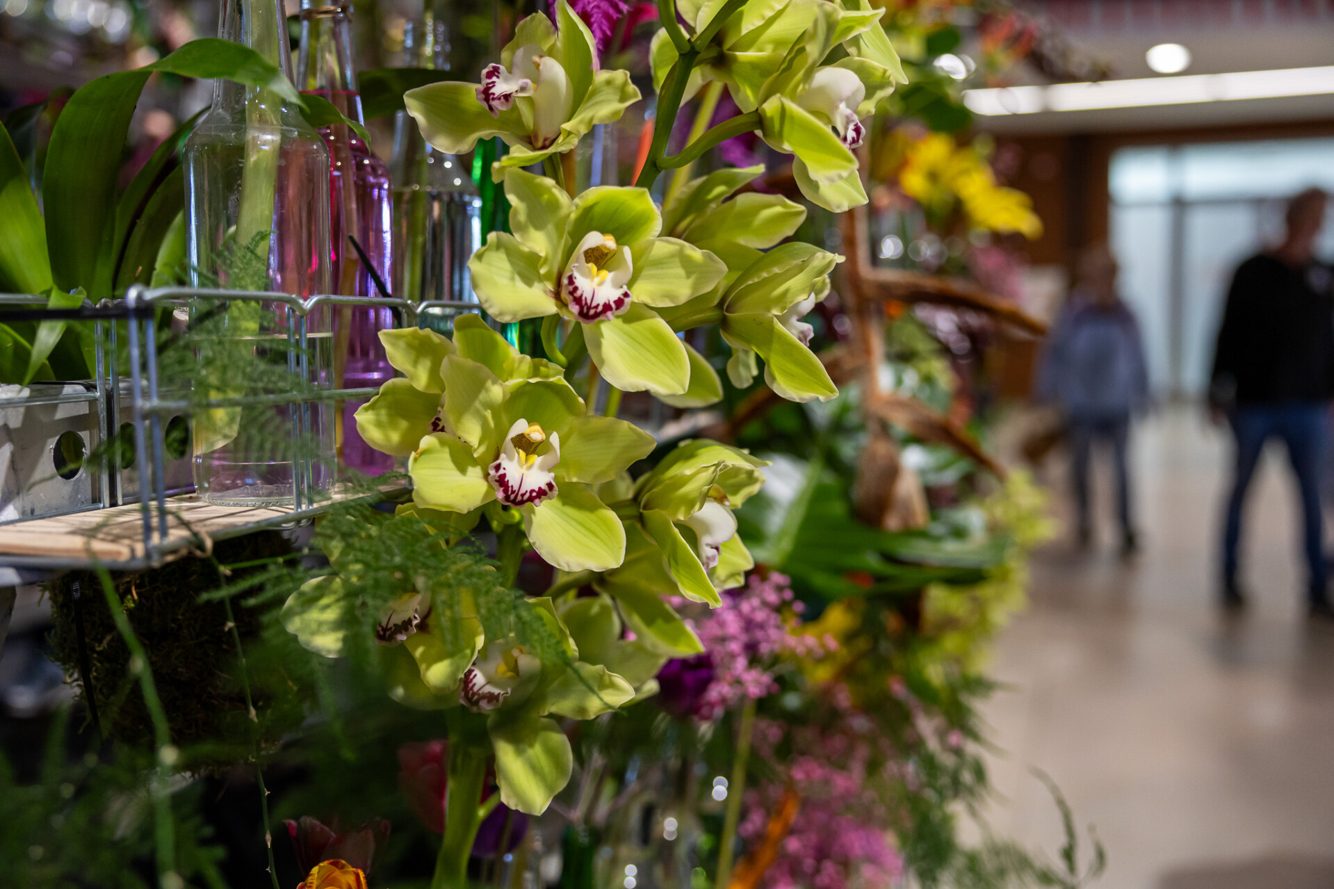 zdroj: report.cz/Lucie Kovářová