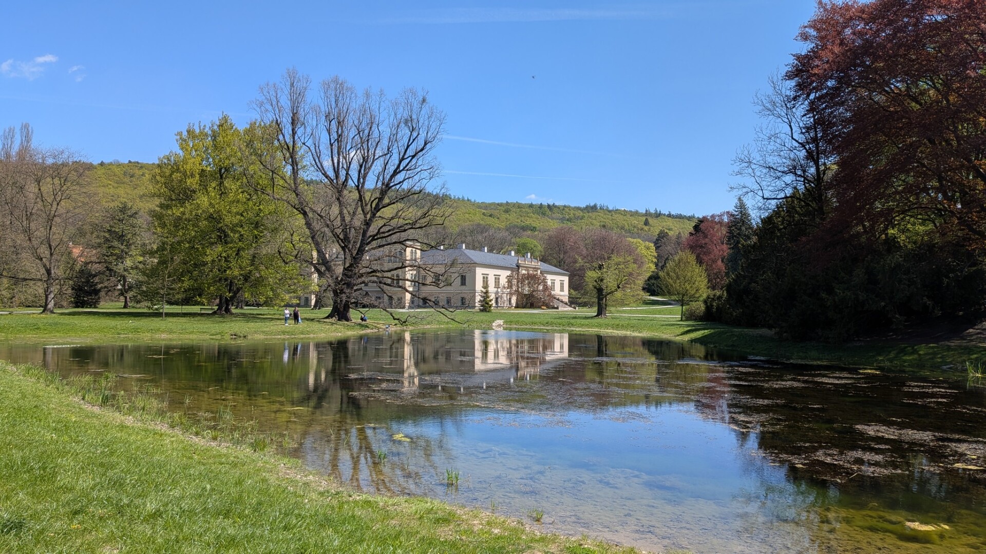 Zámek Čechy pod Kosířem, zdroj: Ateliér Fontes