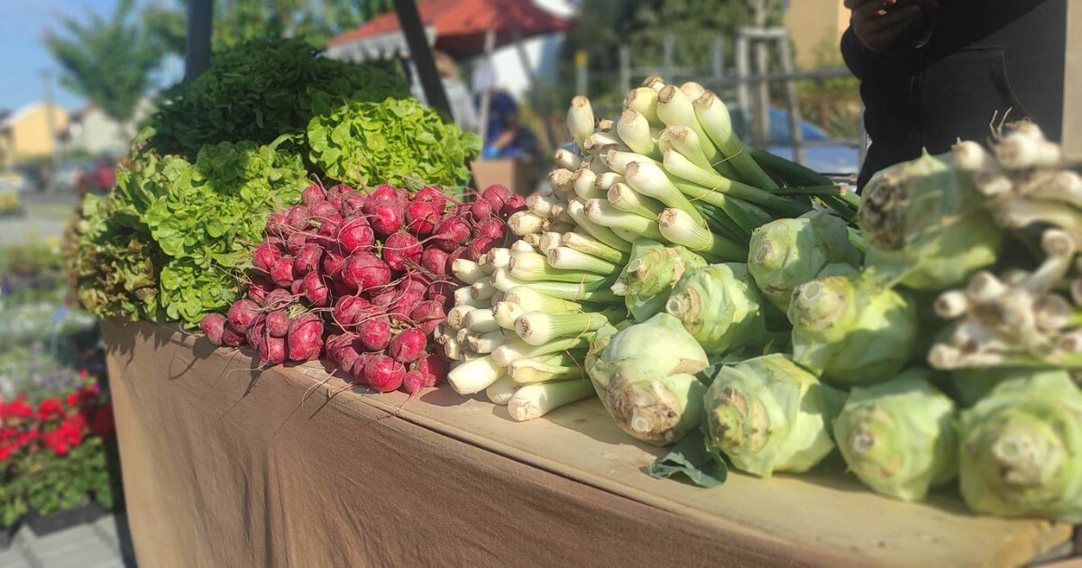 zdroj: Bělkovice-Lašťany