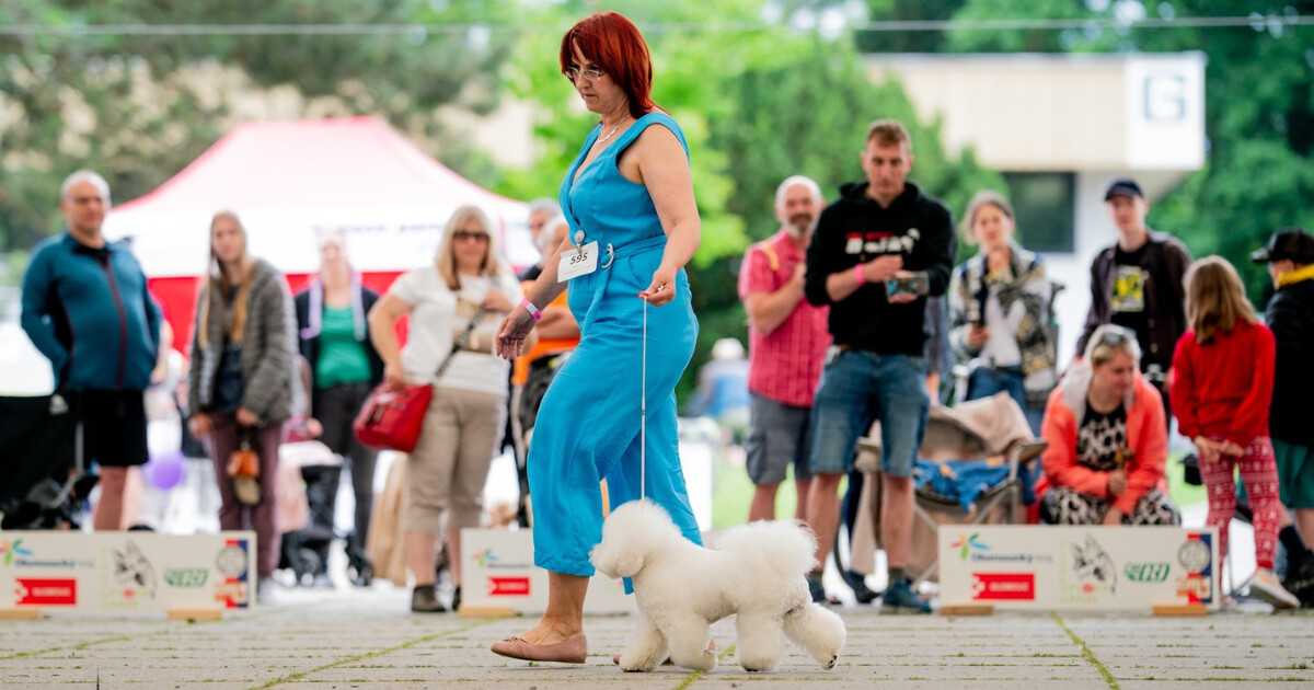 zdroj: Florinka Olomouc (Nikol Kopp)